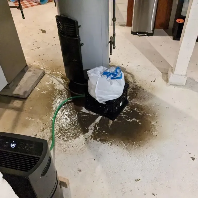 Sewage Backup Cleanup Service in Linthicum, MD